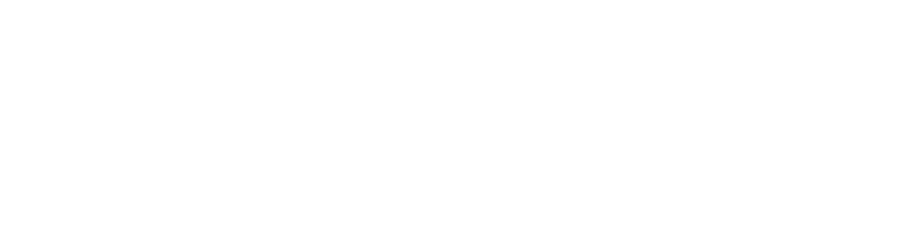 WJ Südpfalz